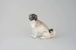 Mops