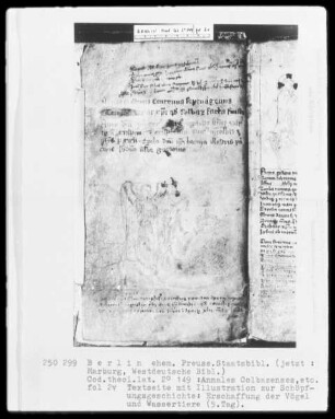 Annales Colbazenses (Kloster Colbaz), Calendarius ecclesiasticum, Sermones Mauricii episcopus Parisiensis — Annales Colbacenses und Calendarius ecclesiasticum, Folio 1 recto - 33 verso — ---, Folio ---Fünfter Schöpfungstag, Folio 2verso