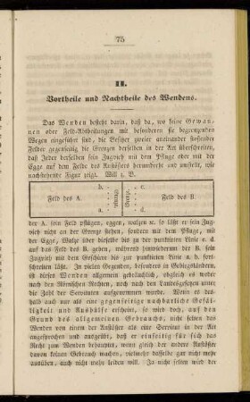 II. Vortheile und Nachtheile des Wendens