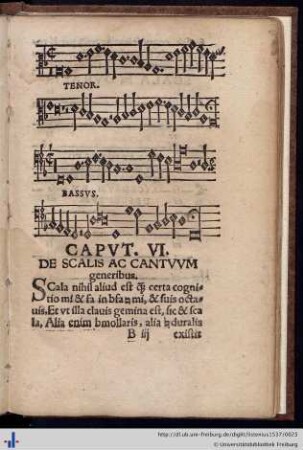 Cap. VI. De Scalis ac Cantuum generibus.
