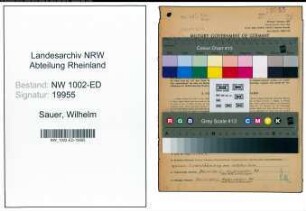 Entnazifizierung Wilhelm Sauer, geb. 17.02.1914 (Arbeiter)