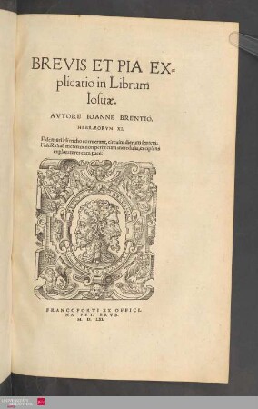 Brevis et pia explicatio in librum Josuae