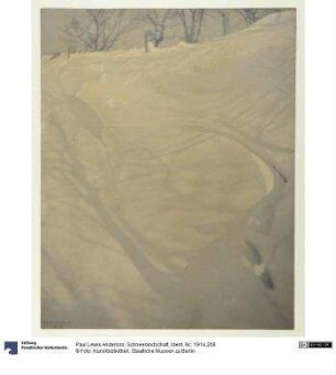 Schneelandschaft