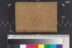 [Stammbuch Paul Gräßmann (Fragment)]