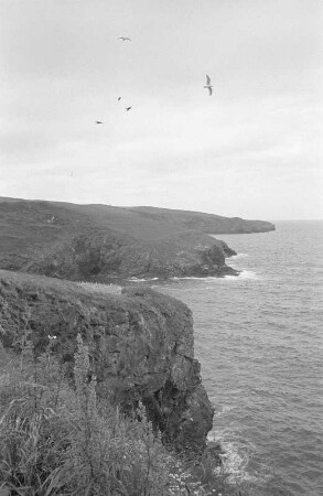 Port Isaac : In Port Isaac, Keltische See