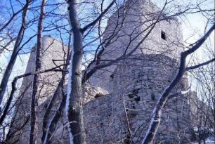 Burgruine von unten