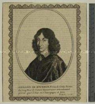 Porträt des Armand Conti, Prinz von Bourbon
