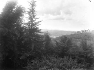 Baumwipfel : Blick über Baumwipfel in Richtung der Berge
