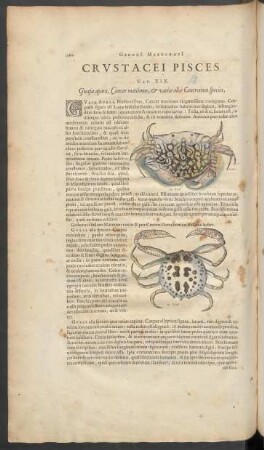 Crustacei Pisces Cap. XIX. - XXII