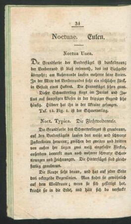Noctuae. Eulen.