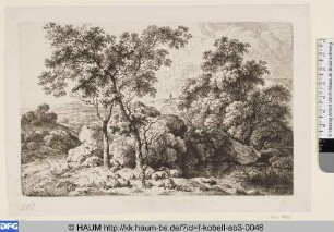 Landschaft mit Gewässer und Schafherde