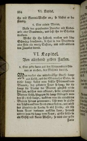 VI. Kapitel. Von allerhand gelben Farben.