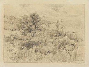 Märkische Landschaft