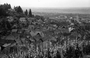 Varnhalt: Blick vom Weinberg auf den Ort