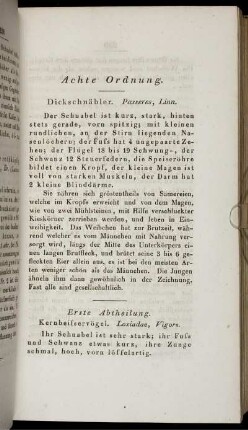Achte Ordnung. Dickschnäbler. Passeres, Linn.
