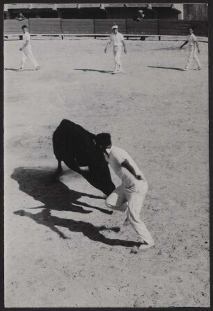 Beim Stierlauf in der Arena von Saintes-Maries-de-la-Mer