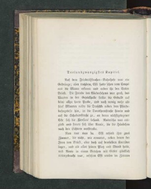 Dreiundzwanzigstes Kapitel