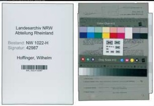 Entnazifizierung Wilhelm Hoffinger , geb. 10.02.1885 ()