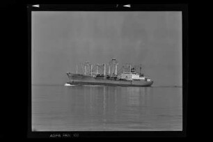 Cottbus (1979), Frachtschiff (reefer), VEB/DSR, Rostock, Bau-Nr. 442