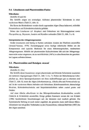 5.5 Pharetroniden und Rotalgen-mounds