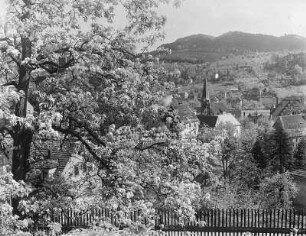 Stadt Wehlen, Ortsansicht : Stadt Wehlen. Blick auf den Ort