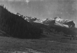Gebirgszug : Blick über einen bewaldeten Berghang auf einen schneebedeckten Gebirgszug im Tian Shan Hochgebirge
