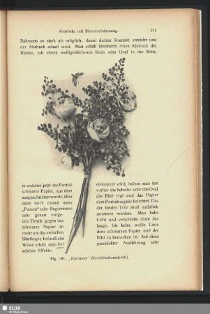 "Knospen"