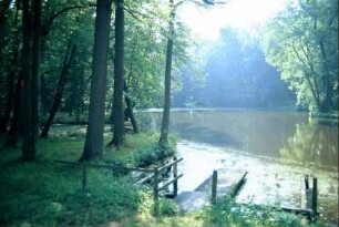Schlossteich mit Bootssteg