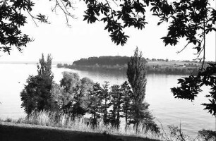Mainau, Insel Mainau: Blick von der Insel nach Allmannsdorf