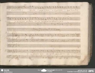 Cavatina: "È ver padrona bella"