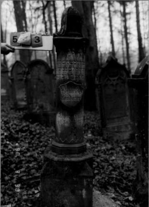 Grabstein 533 (neu: 446)