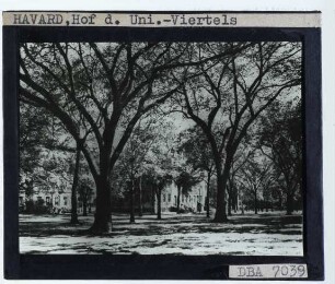 Cambridge (Mass.), Harvard University