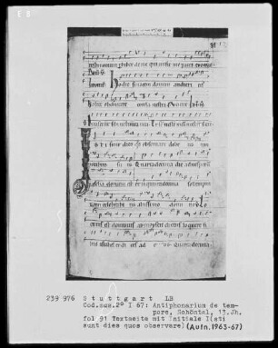 Antiphonarium de Tempore (Zisterzienserhandschrift) — Initiale I(sti sunt dies quos observare), Folio 91recto