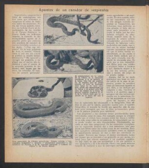 Apuntes de un cazador de serpientes