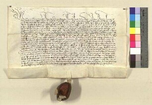 Georius, Abt des Egydienklosters zu Nürnberg vidimiert eine Urkunde Kaiser Sigmunds d.d. 1436. Januar 16.