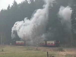 Sachsen-Anhalt, Selketal-Schmalspurbahn im Unterharz auf dem Wege nach Mägdesprung