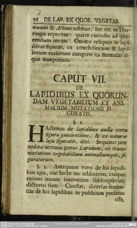 Caput VII. De Lapidibus Ex Quorundam Vegetabilium Et Animalium Mutatione Figuratis