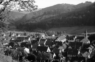 Sulzburg: Gesamtansicht vom Schlossberg; Ausschnitt der Stadt