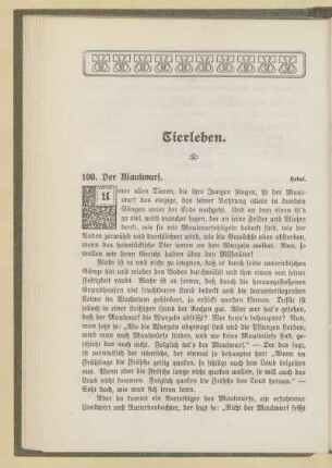 Tierleben