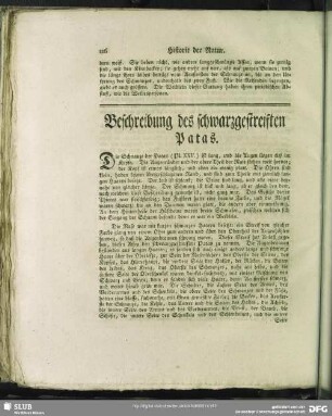Beschreibung des schwarzgestreiften Patas