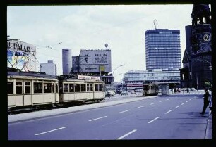 Am Zoo 6.6.65.