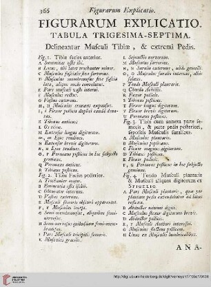 Figurarum explicatio: Tabula trigesima-septima