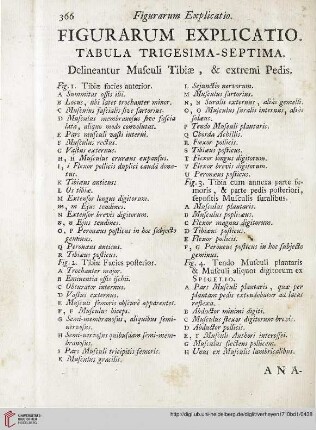 Figurarum explicatio: Tabula trigesima-septima