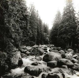 Hohe Tatra. Wildwassergeröllbett in der Malá studená dolina bei Tatranská Lomnica