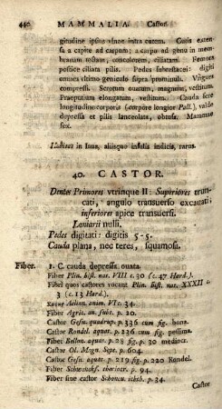 40. Castor