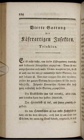 Vierte Gattung der Käferartigen Insekten. Trichius.
