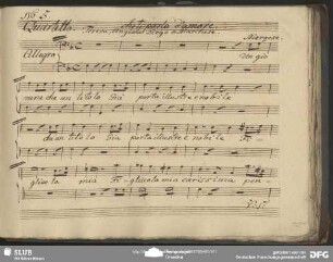 Quartetto: "Un giovane che un tiolo già porta"