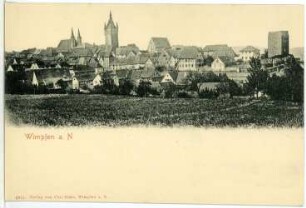 Wimpfen. Stadtansicht