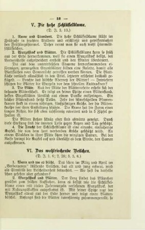 VI. Das wohlriechende Veilchen