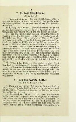 VI. Das wohlriechende Veilchen